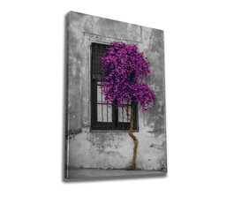 Wallity WY239 Lienzo Decorativo Multicolor 50 x 70 cm